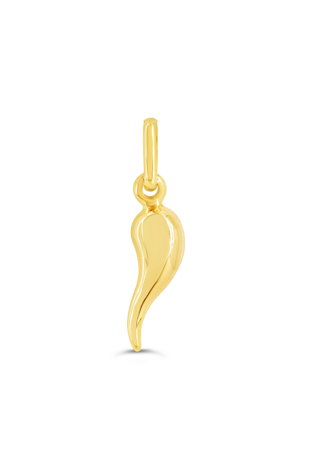 Petite Italian Horn Charm/Pendant