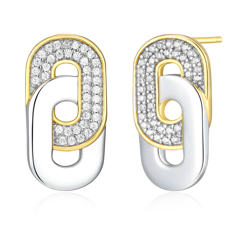 "Fancy Link"  Earrings by Charles Garnier