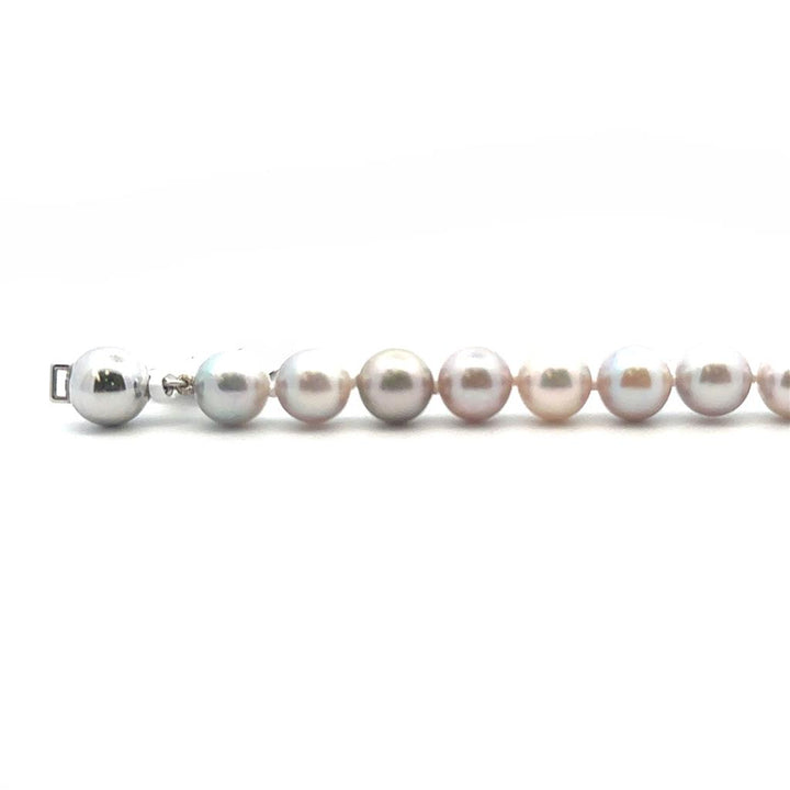 Pink & Grey Akoya Pearls - 7.5-8 mm
