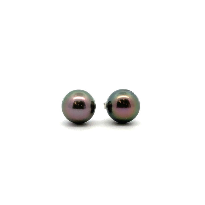 Tahitian Pearl Studs