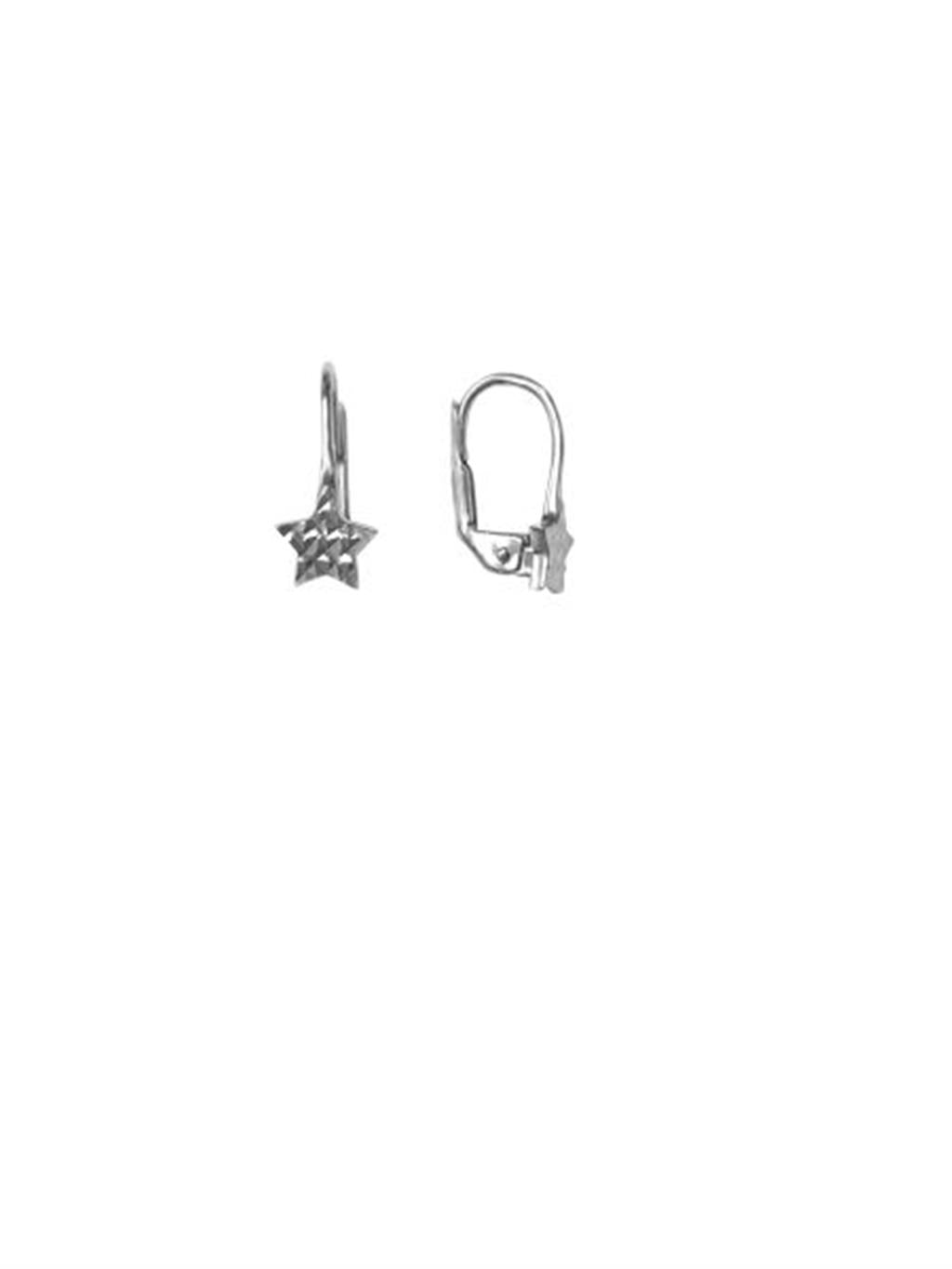 10K White Gold Star Drops
