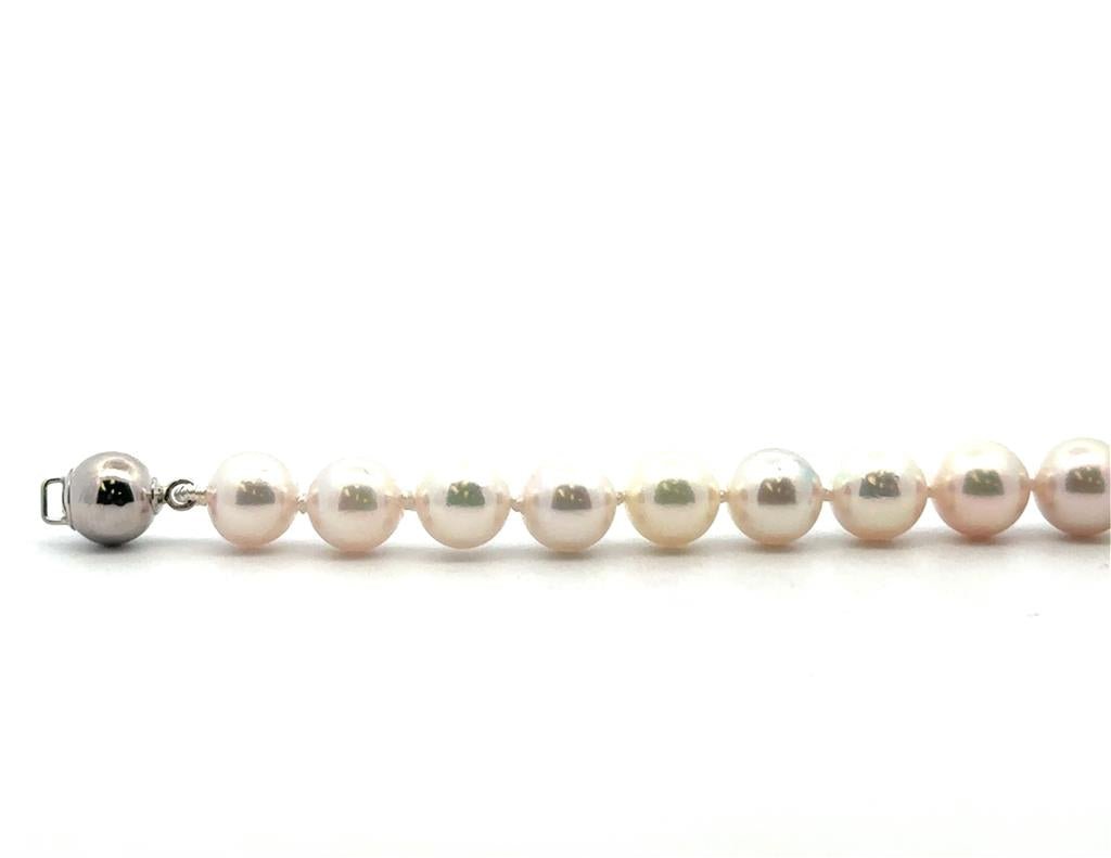 Akoya Pearl Bracelet - Davidson's Jewellers