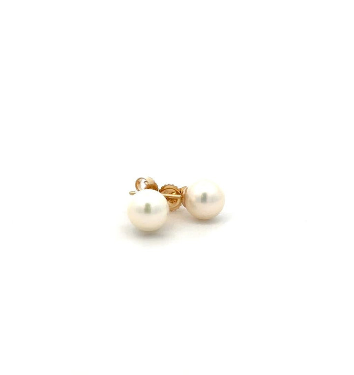 Akoya Pearl Studs - 6 - 6.5 mm - Davidson's Jewellers