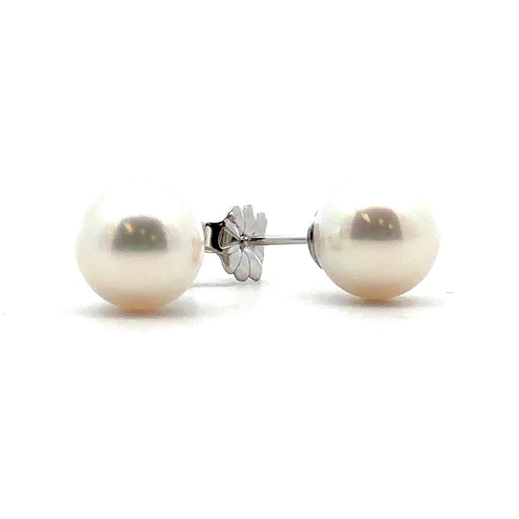 Akoya Pearl Studs - 8 - 8.5 mm - Davidson's Jewellers