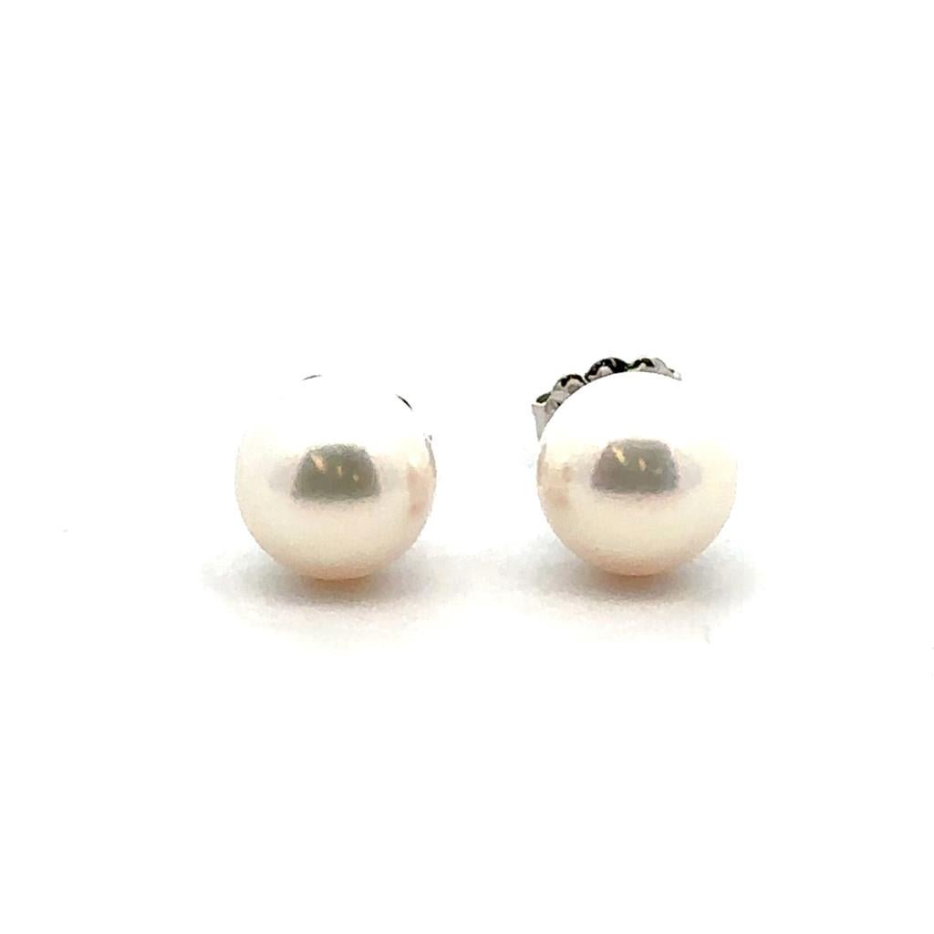 Akoya Pearl Studs - 8 - 8.5 mm - Davidson's Jewellers