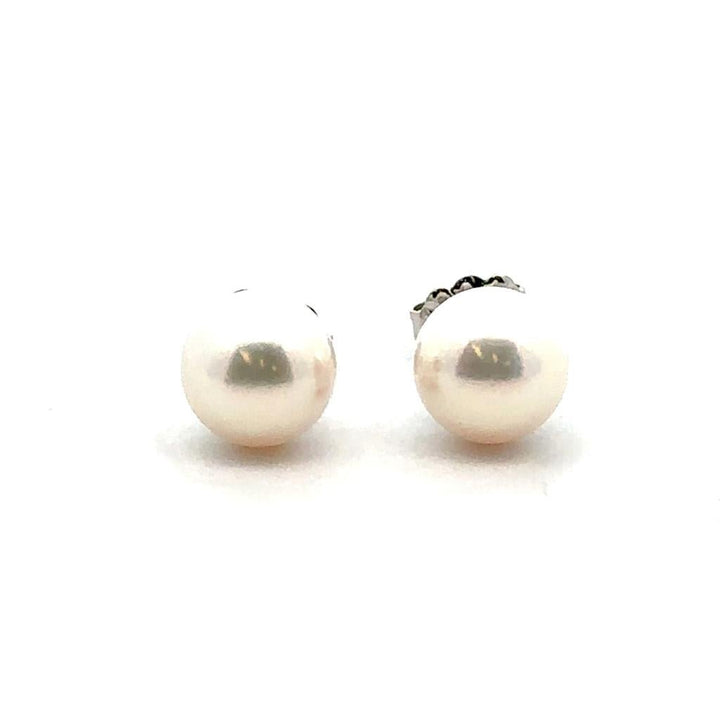 Akoya Pearl Studs - 8 - 8.5 mm - Davidson's Jewellers