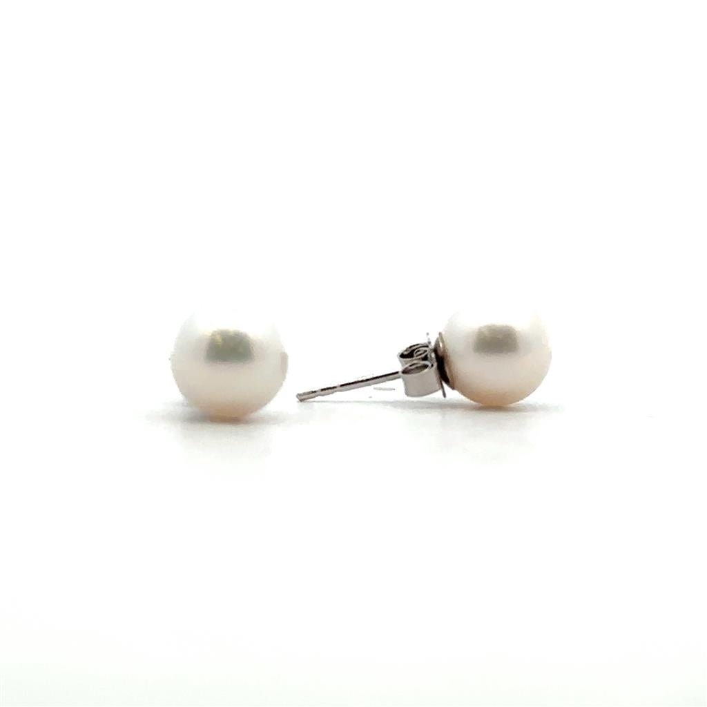 Akoya Pearls - 7.5 - 8 mm - Davidson's Jewellers