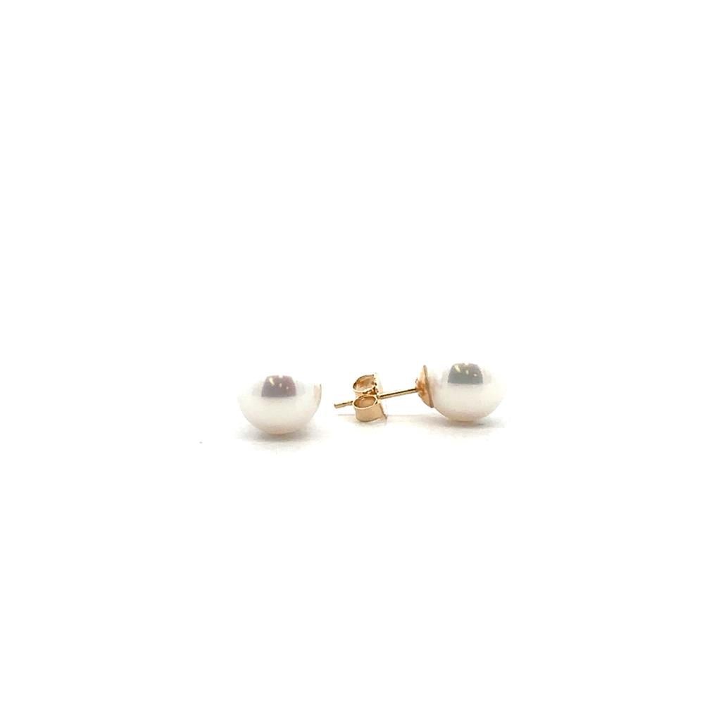 Akoya Pearls - 7.5 - 8 mm - Davidson's Jewellers