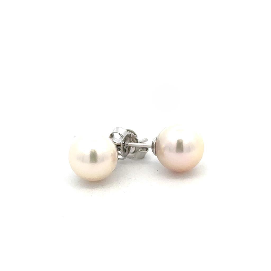 Akoya Pearl Stud Earrings - 7.5-8 mm