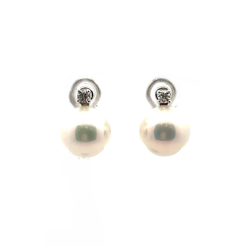 Diamond & Pearl Studs - Davidson's Jewellers