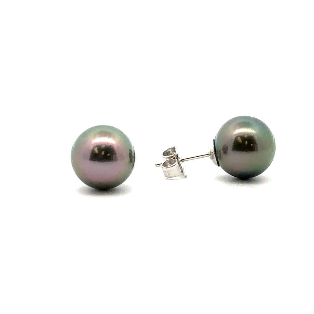Tahitian Pearl Studs
