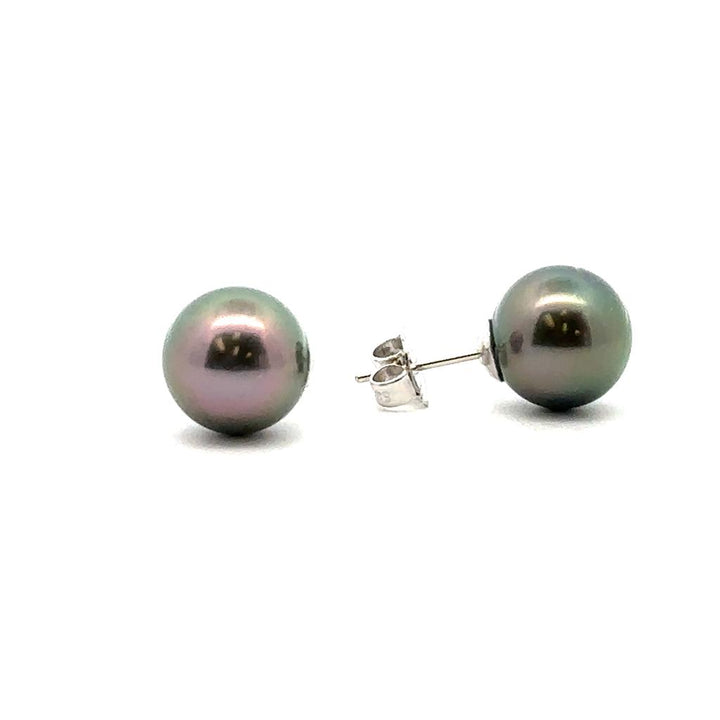 Tahitian Pearl Studs