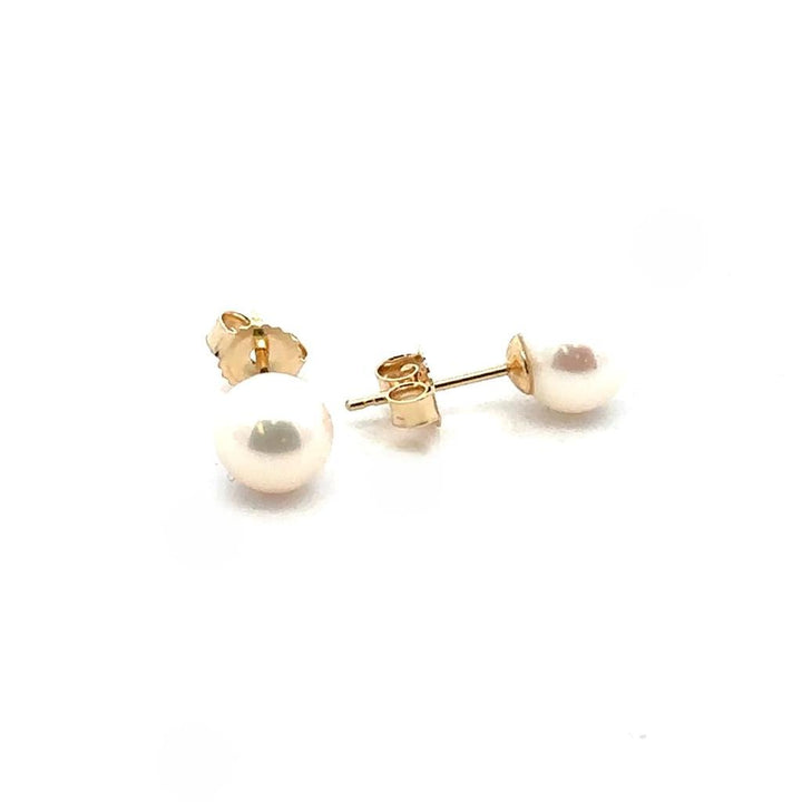Freshwater Pearl Studs - 6 - 6.5 mm - Davidson's Jewellers