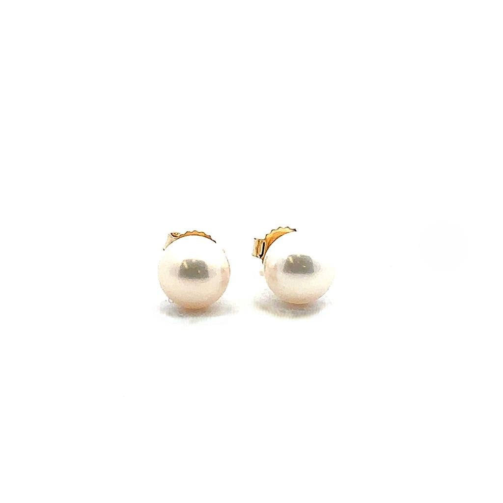 Freshwater Pearl Studs - 6.5 - 7 mm - Davidson's Jewellers