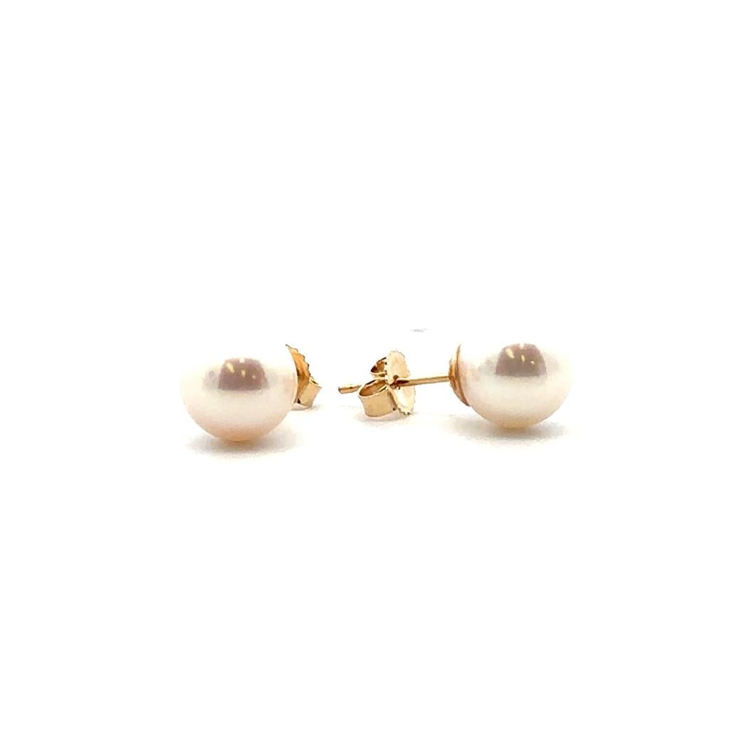 Freshwater Pearl Studs - 8 - 8.5 mm - Davidson's Jewellers